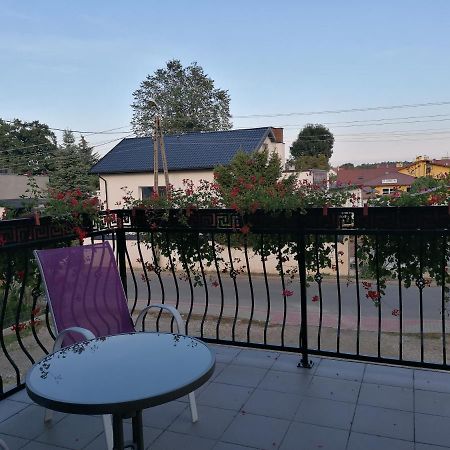 Villa Zdrojowa Otmuchów Exteriör bild
